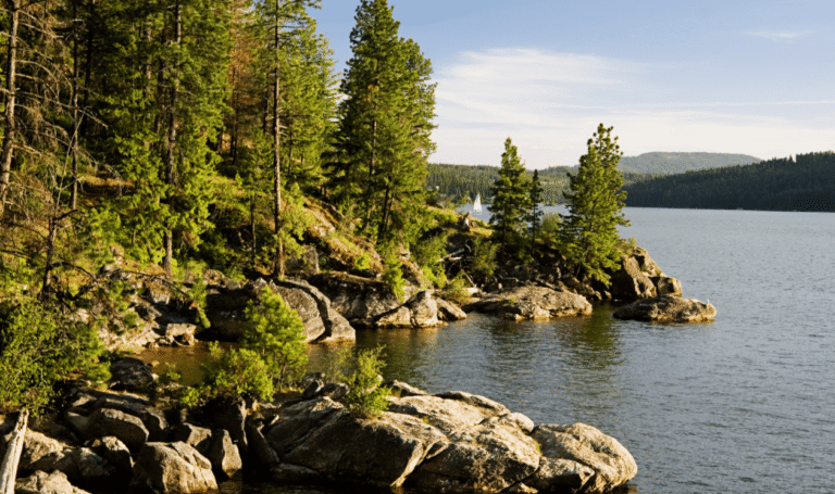 Selling home in summer North Idaho Selling home in summer North Idaho