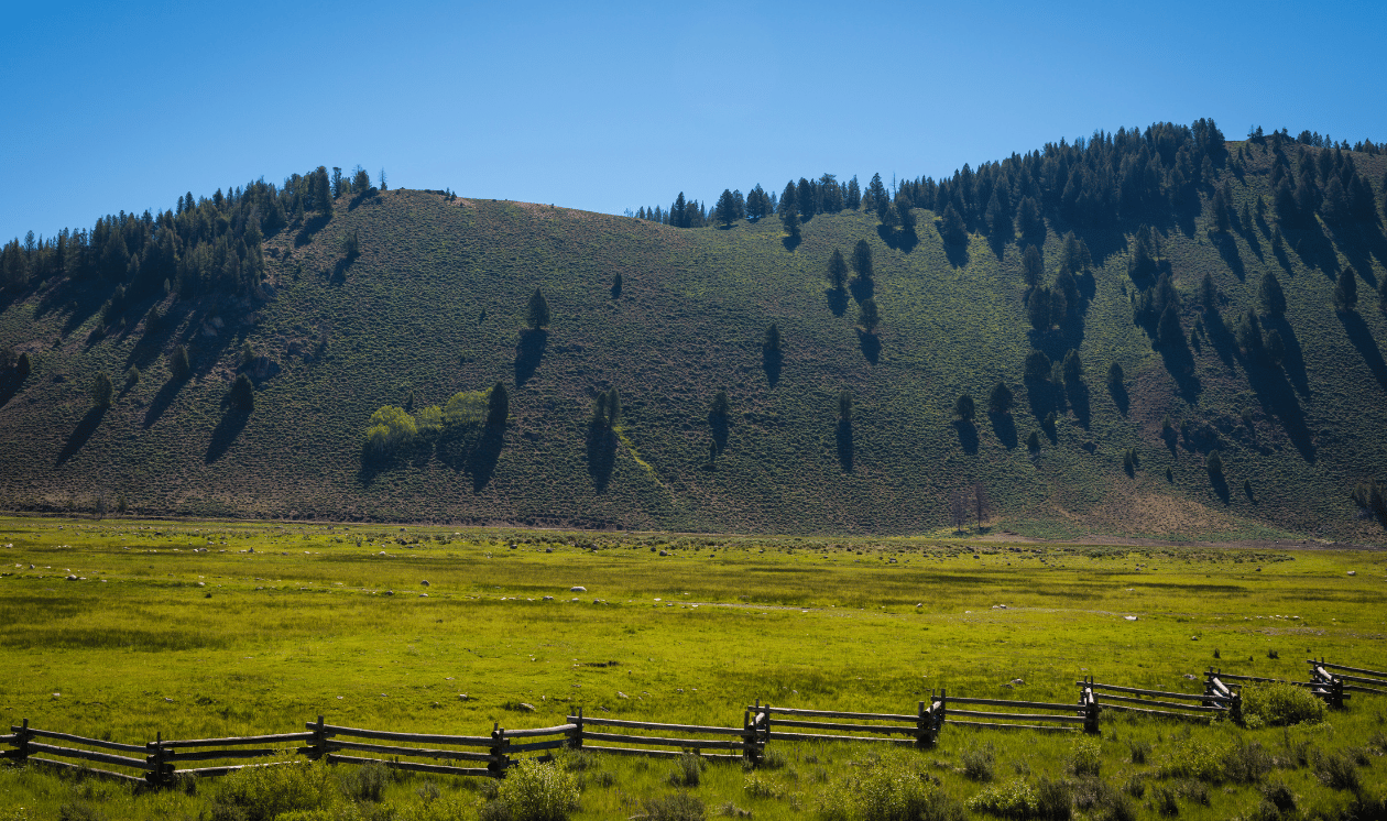 buying land in North Idaho this summer