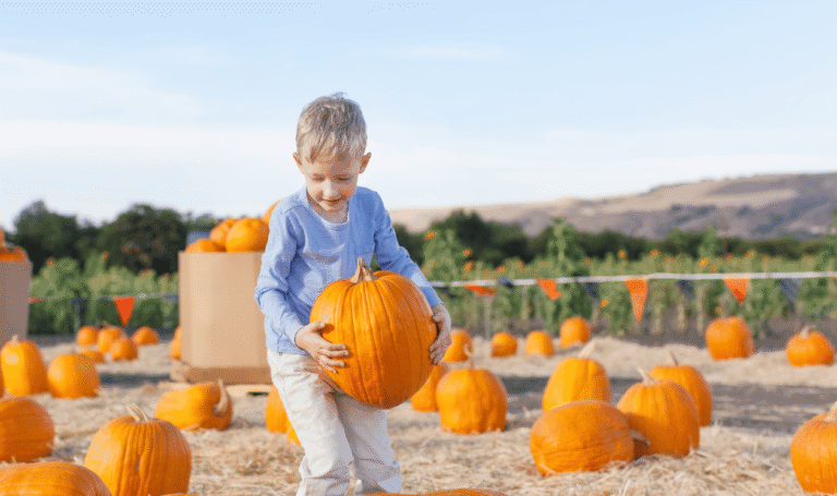 How North Idaho Locals Celebrate Fall